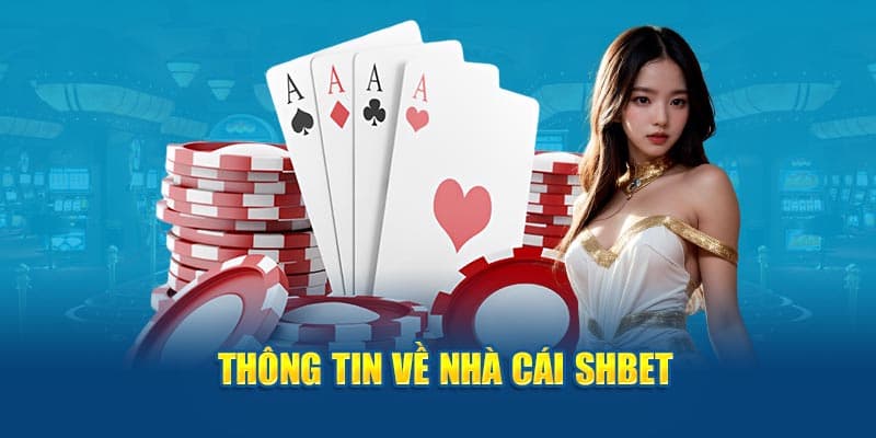 Tổng quan về nhà cái shbet qua góc nhìn cá cược